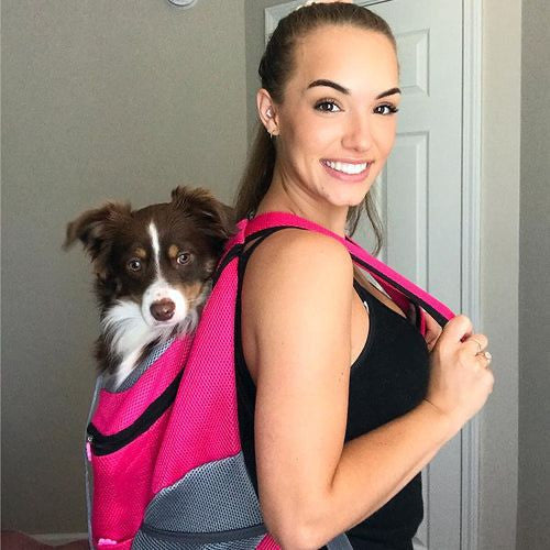 ⭐HuellasBag™ | 🐶 Bolso de transporte transpirable para mascotas 🐱